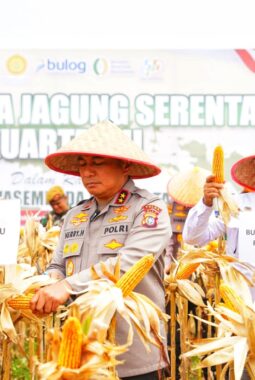 berita-rekomendasi-foto
