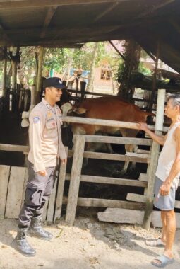 berita-rekomendasi-foto