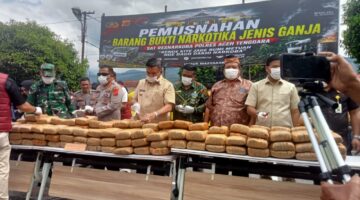 Hari Bhayangkara ke-80, Polres Aceh Tenggara Musnahkan 161,9 Kilogram Ganja