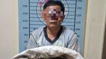 Ganja 4,7 Kg Disembunyikan di Bawah Tempat Tidur, Satresnarkoba Bongkar Peredaran di Ketambe